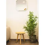 Διαμέρισμα Flores De Gitanilla 2 *