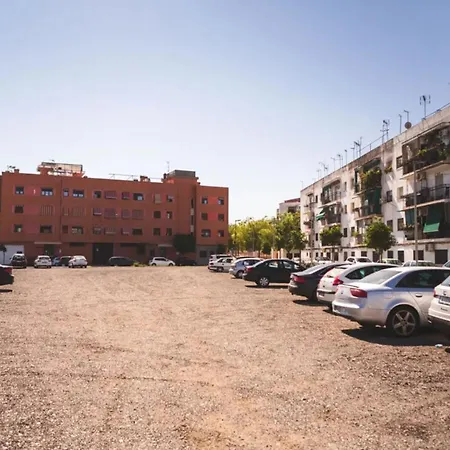 Flores De Gitanilla 2 Córdoba