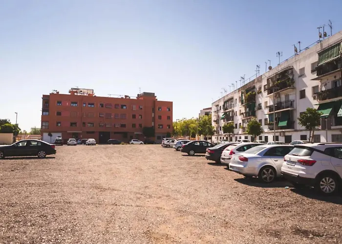 Flores De Gitanilla 2 Кордова